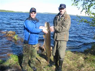 Hauki 13kg